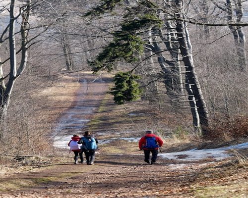 Pokojná prechádzka prírodou